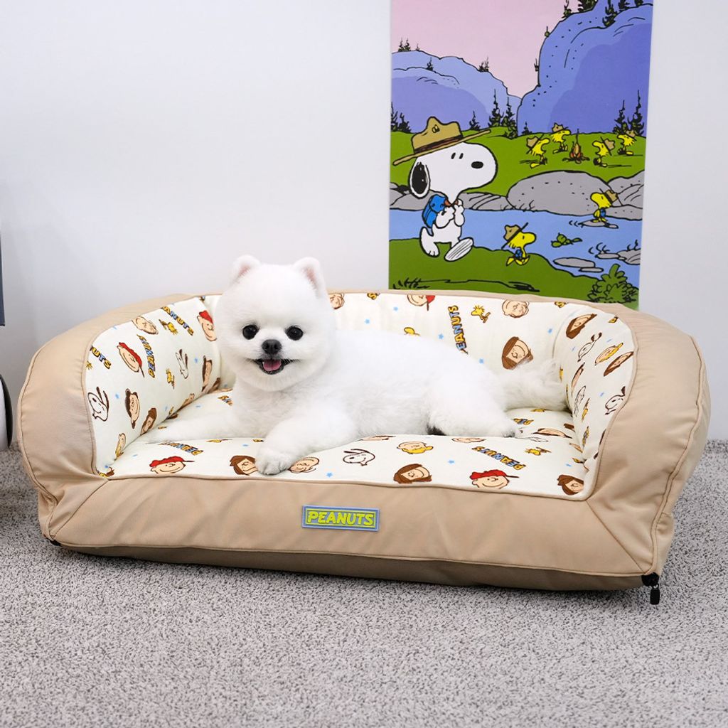P-41.-PEANUTS-COUCH-BED-首圖