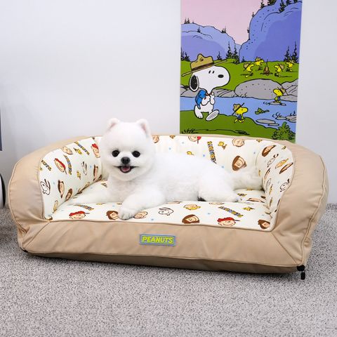 P-41.-PEANUTS-COUCH-BED-首圖