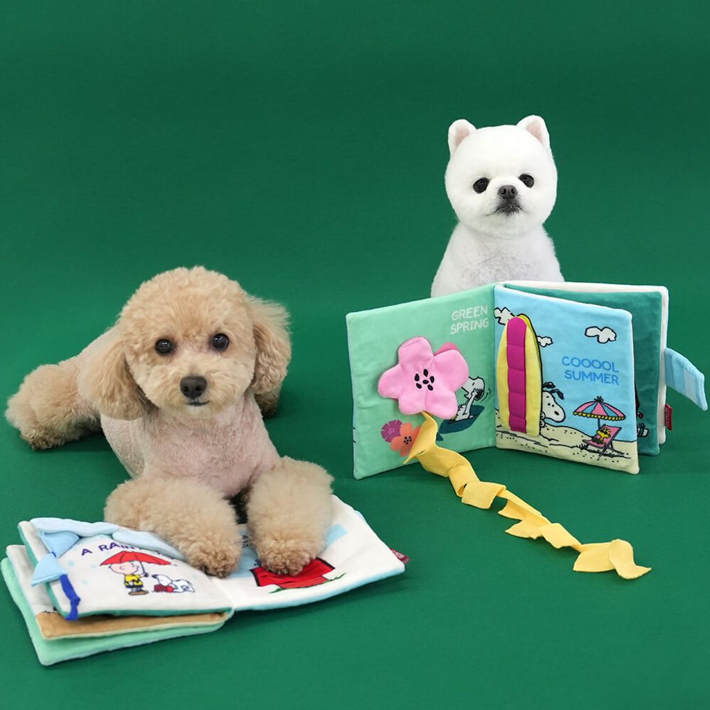 P-55.-PEANUTS-FOUR-SEASON-BOOK-TOY-首圖