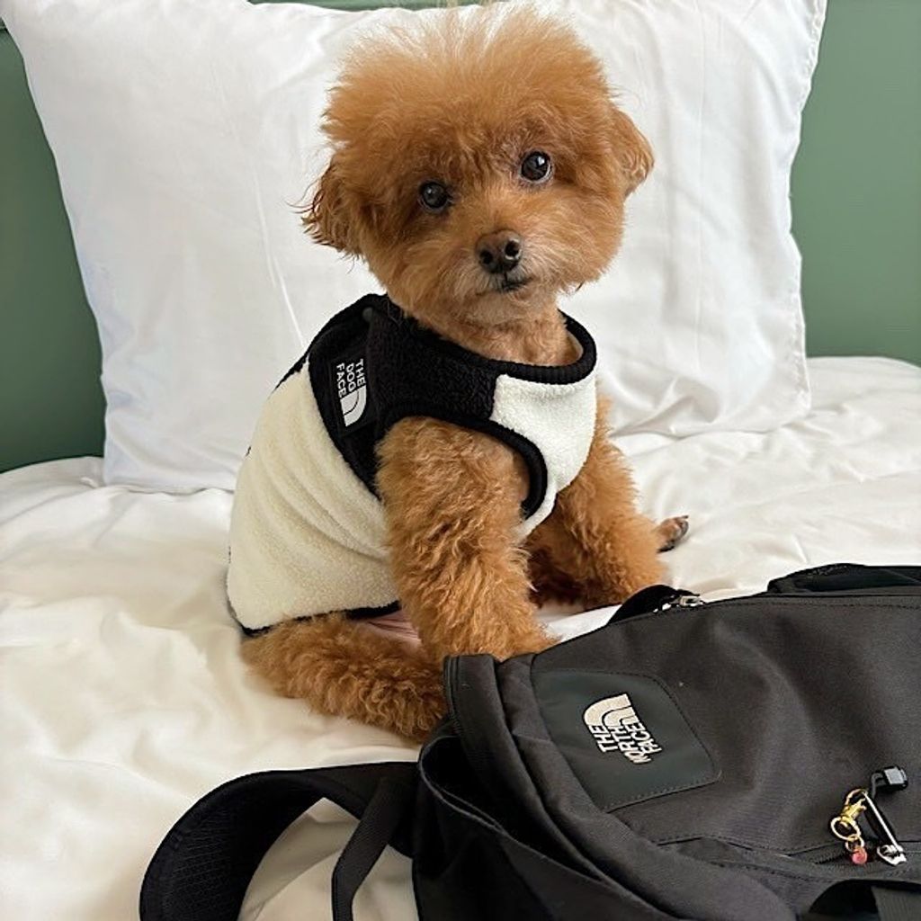 image_A719688C-32B0-43FF-9EC0-A86AE11E8674_1761766829