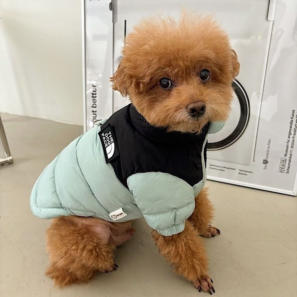 image_B702204C-CBF1-4A86-989F-A6A34FDBA3F5_1761767931