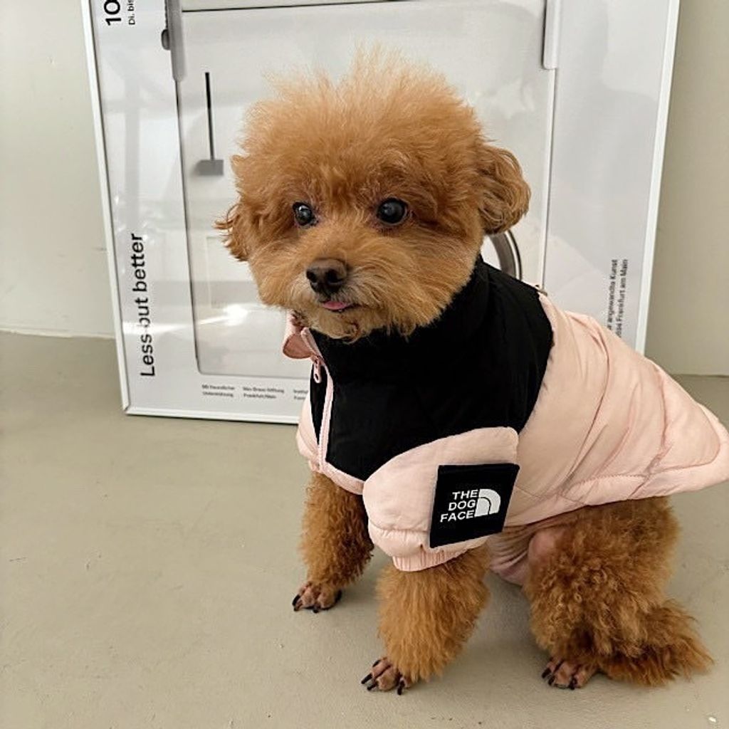 image_71063F52-1756-475D-9C75-CEBC216FD6C2_1761767931