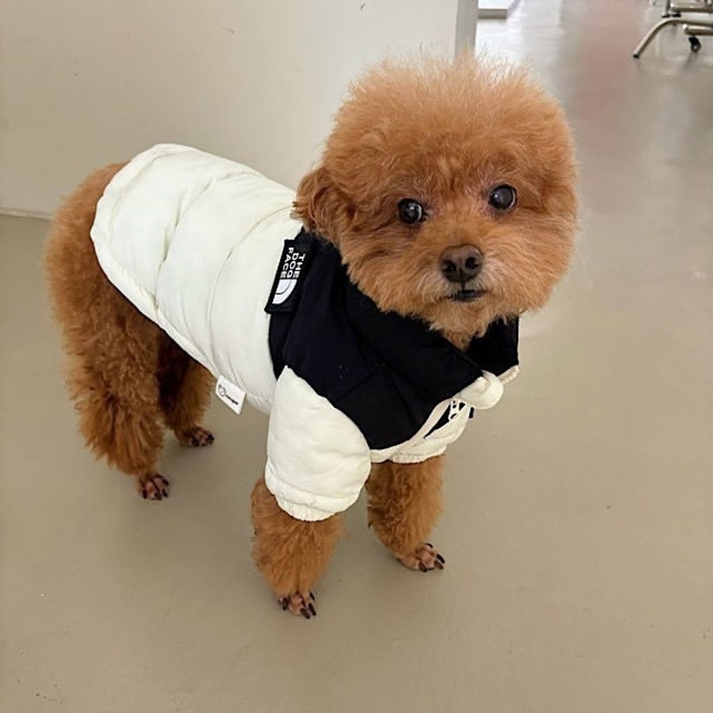 image_7D07DFF6-5C84-485B-94EF-16DA683C116B_1761767931