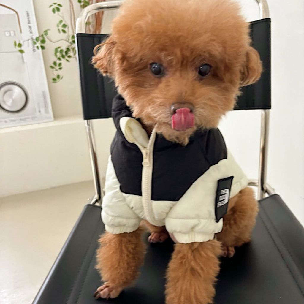 image_647C6AA9-6F8D-471A-BAE4-F17C4FDC0B22_1761767931