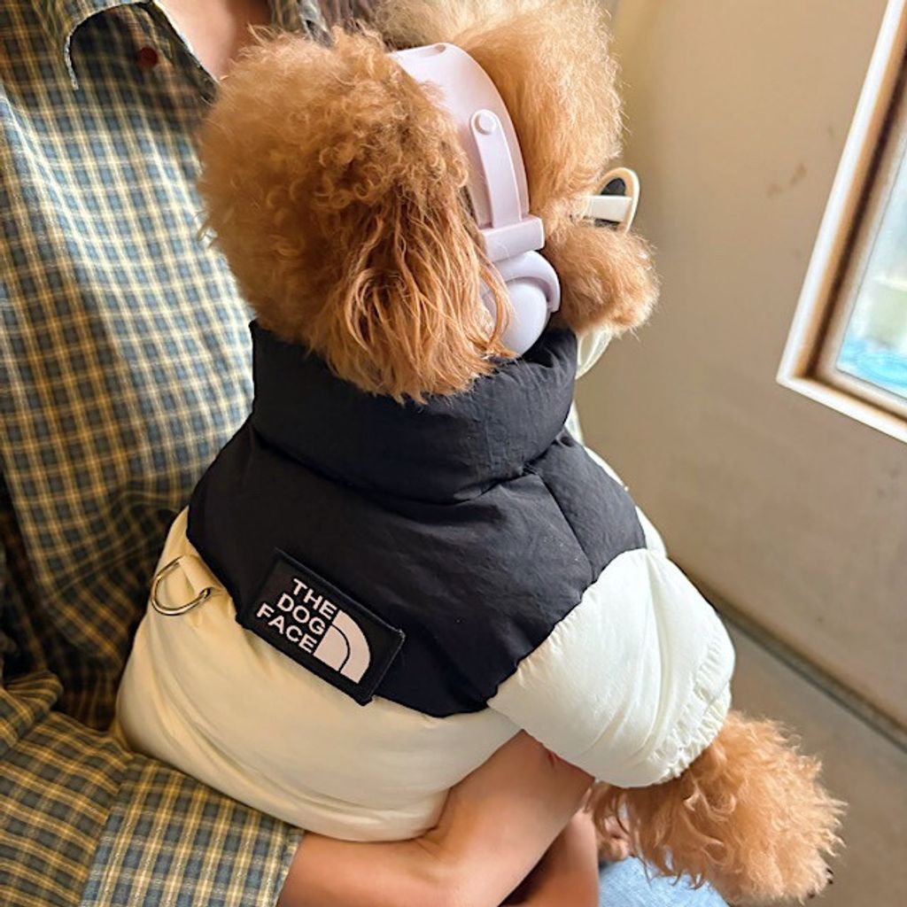 image_839392B3-C69C-474F-A3DB-DA5449CF0919_1761767931