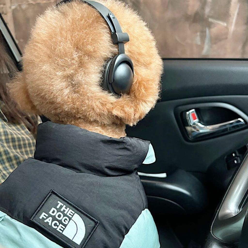 image_662AE0D0-BF88-4BC4-8D09-F143E4731417_1761767931