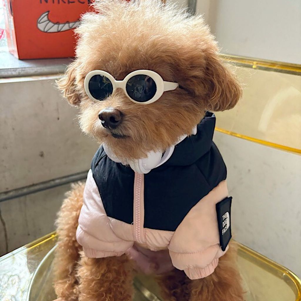 image_F3064766-276C-4706-9549-E48857713C22_1761767931