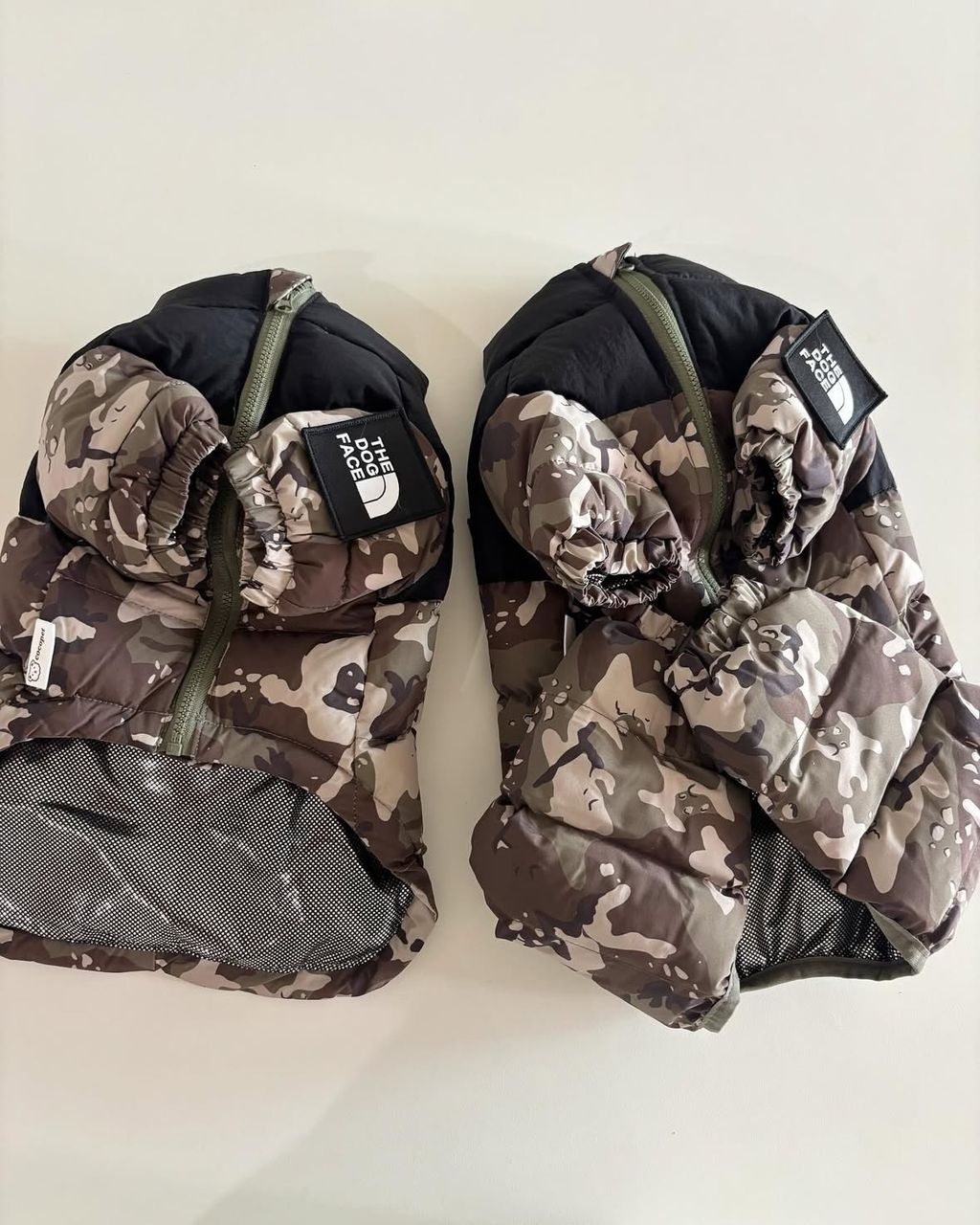 image_0D44E7BF-69D5-4643-AB4F-4068EB94902F_1761815163