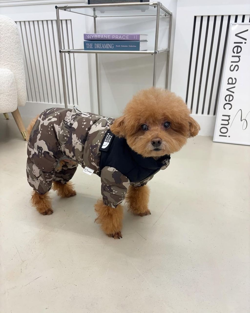 image_50FC37FE-E3EA-48A8-A425-C051DB36FF71_1761815163