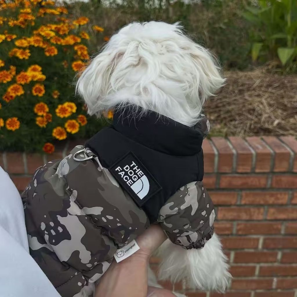 image_65136FA2-0365-478F-9BC8-FC43E0CD33AD_1761815163