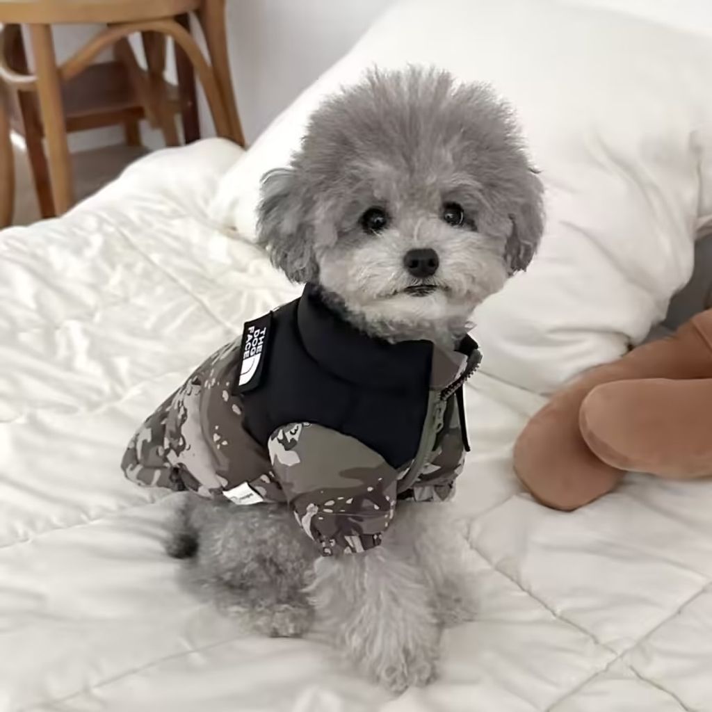 image_D5429667-24C6-4023-976C-0F346A4BF2E8_1761815163