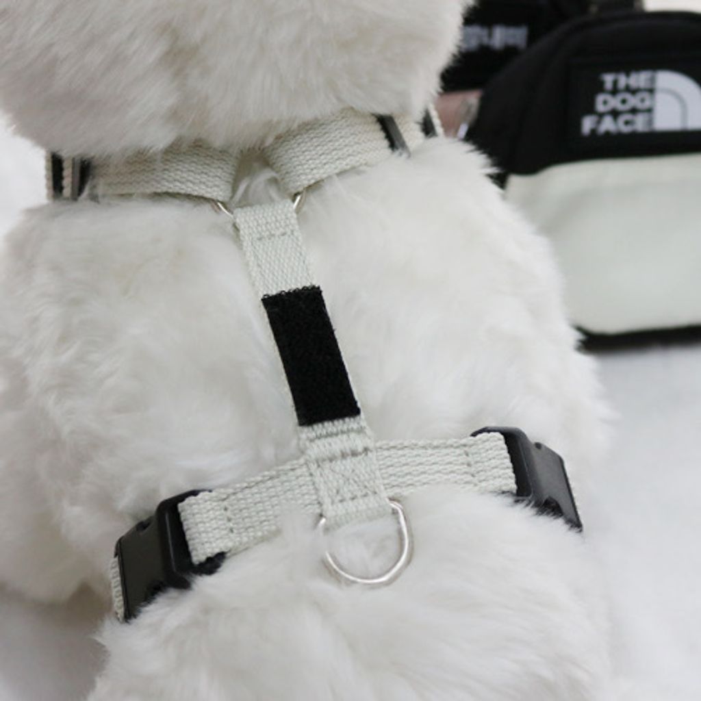 image_B6442E37-46ED-43CE-839A-54FD0F690835_1761825242