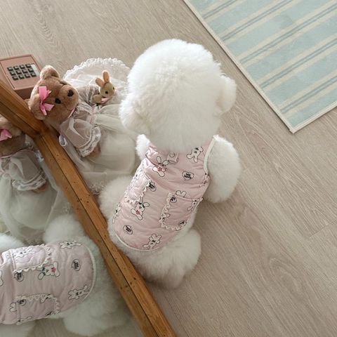 image_611A9E31-EA6D-42FE-A79E-002687707D57_1761826135