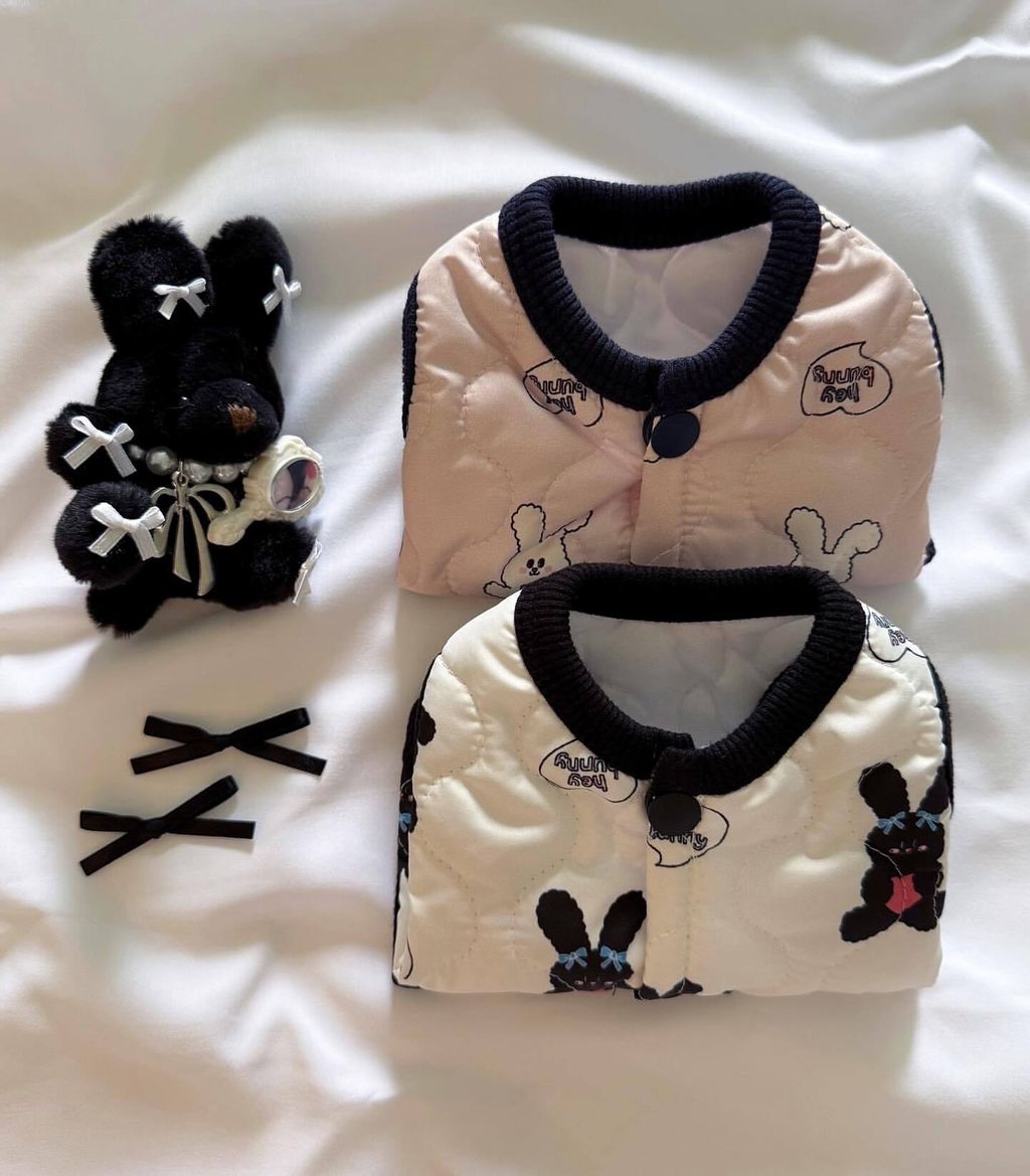 image_0047628B-9C65-4BF4-A557-99B7700F7F3E_1761828523