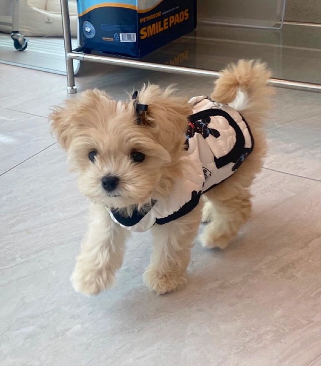 image_6D22BE33-F6B3-4999-BF69-6E83A55BB6C4_1761828523