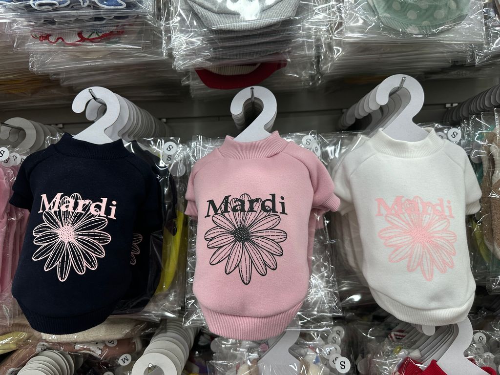 image_48DCF5B0-A21B-405B-A1FC-626ACA22AA9B_1761829335