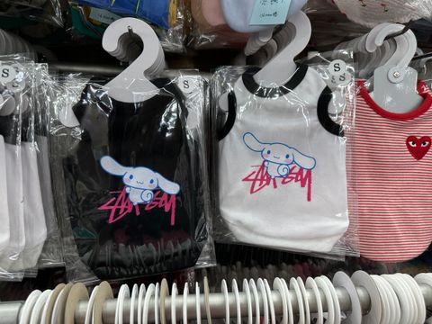 image_AE905E9F-451F-4391-889F-EBB744C4A88D_1761831638