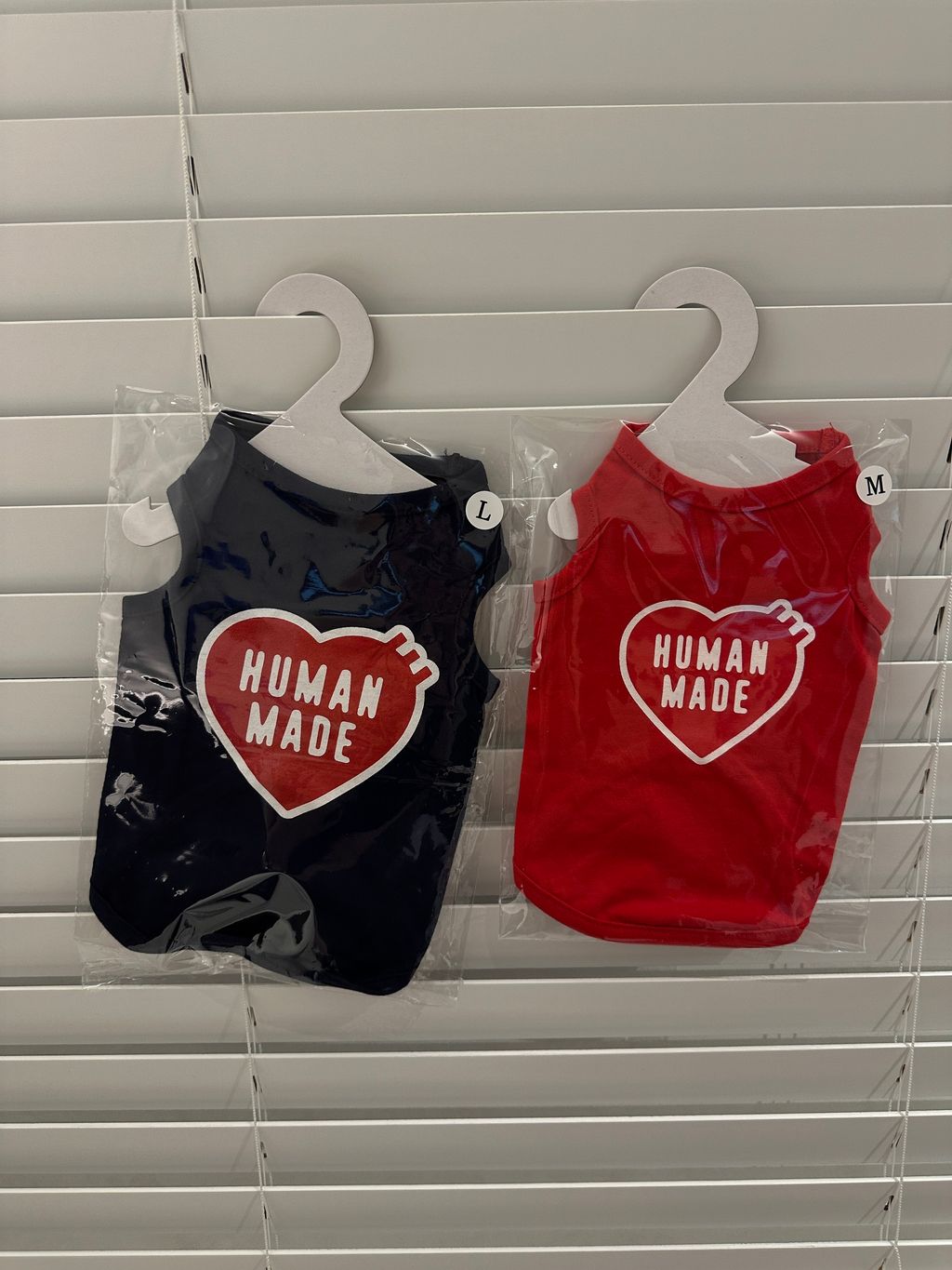 image_B1973E47-EFEF-4755-AA39-DADE74E303FE_1761831772