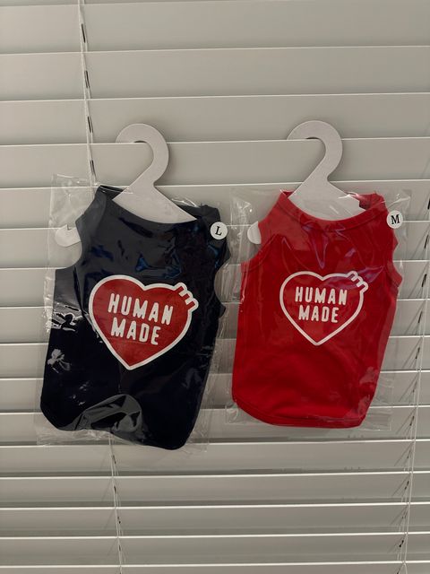 image_B1973E47-EFEF-4755-AA39-DADE74E303FE_1761831772