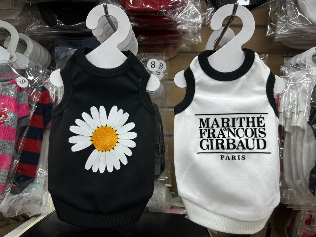 image_589A6255-5DE8-464C-90CD-BBE962AF4CE0_1761831929