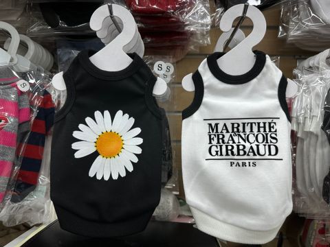 image_589A6255-5DE8-464C-90CD-BBE962AF4CE0_1761831929