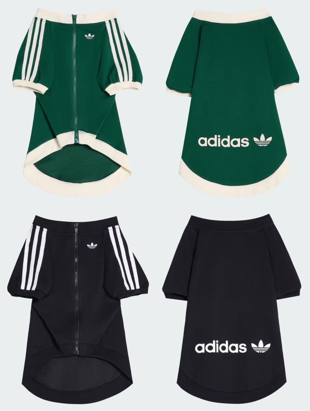 image_3C2003CA-56C4-4C49-A7F5-2981C379A430_1759208081