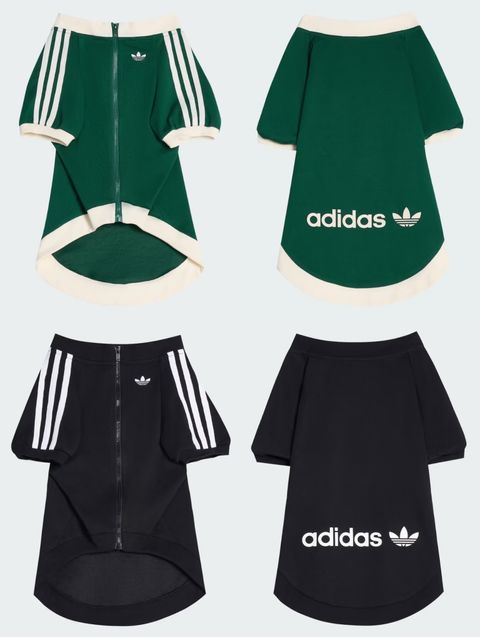 image_3C2003CA-56C4-4C49-A7F5-2981C379A430_1759208081