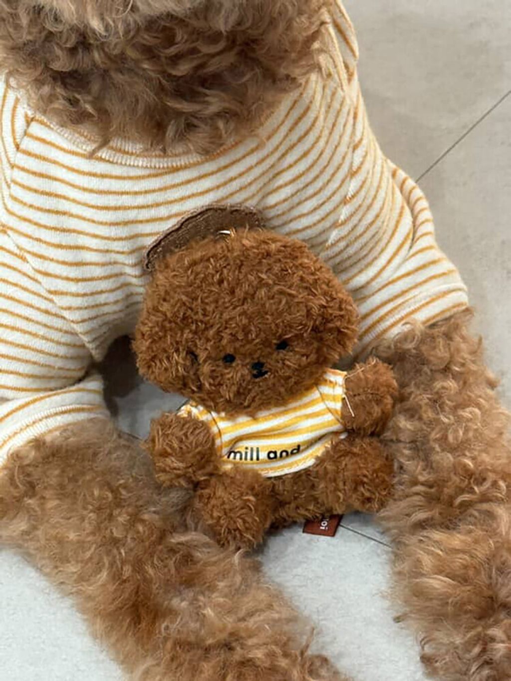 image_016C728E-B0A7-43FB-8B69-183403CA39A4_1764269088