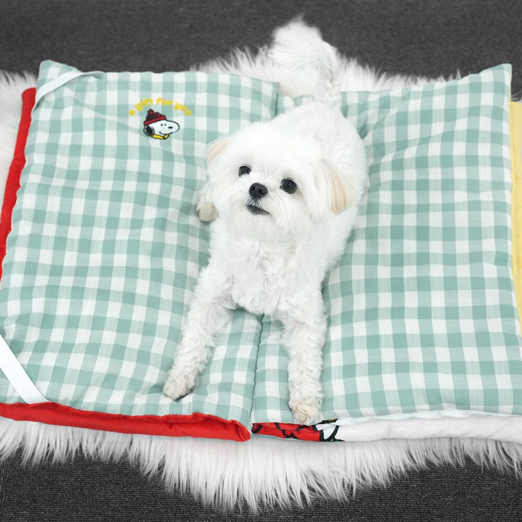 image_BF37BA8B-22D1-4D46-B208-9C8BE17FB9AD_1765256693