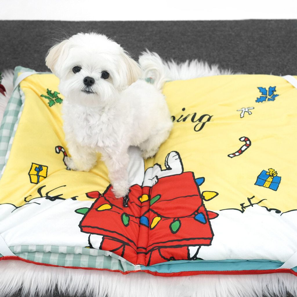 image_A0A7B191-38C4-4FCF-BC71-55983F6D28B3_1765256693