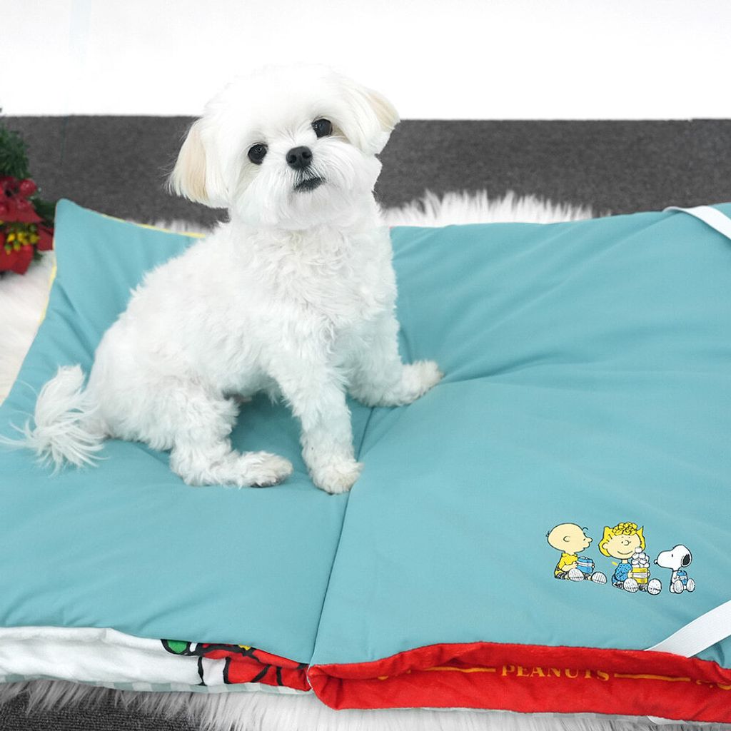 image_FDB9CD51-DC41-47FC-A05A-536A0D5DA69D_1765256693