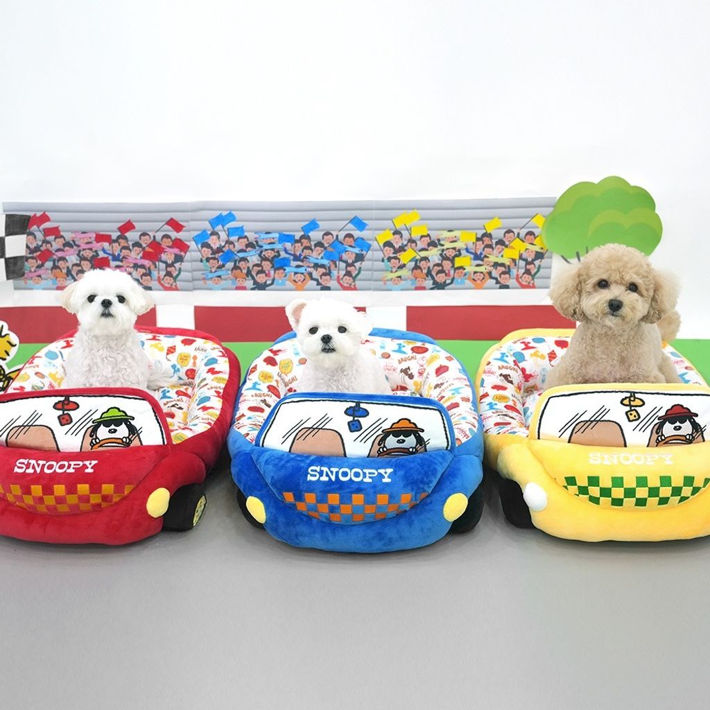 image_56919AF5-EEDF-45FF-8023-3F813E27319C_1765257109