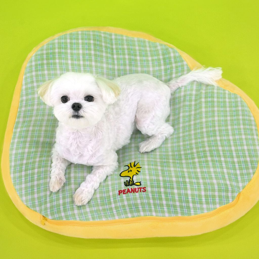 image_FB1FA747-5154-4400-A5C4-6966A90C43E0_1765257431