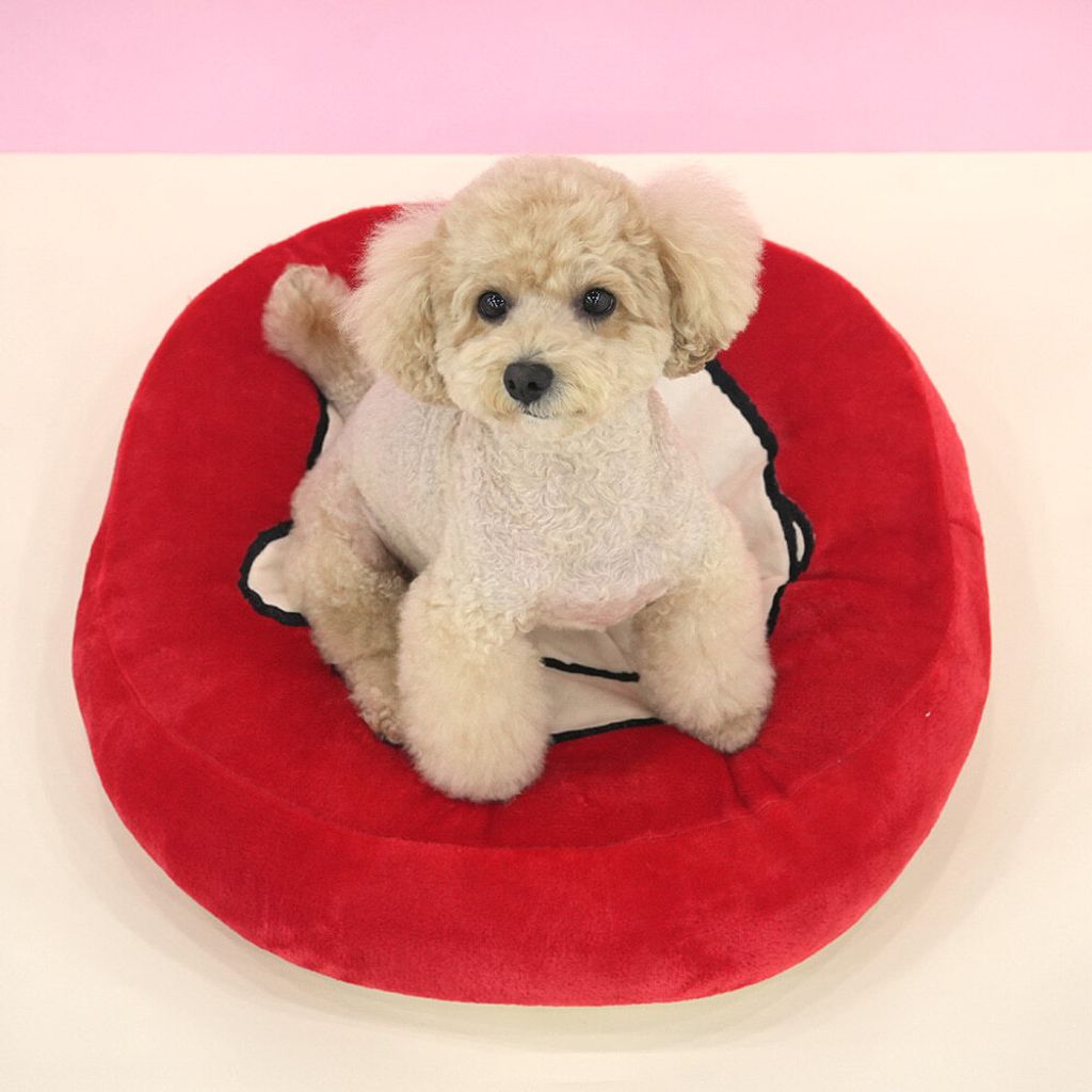 image_95C51DC5-2E9B-49C0-9EE5-37E69BF99643_1765257431