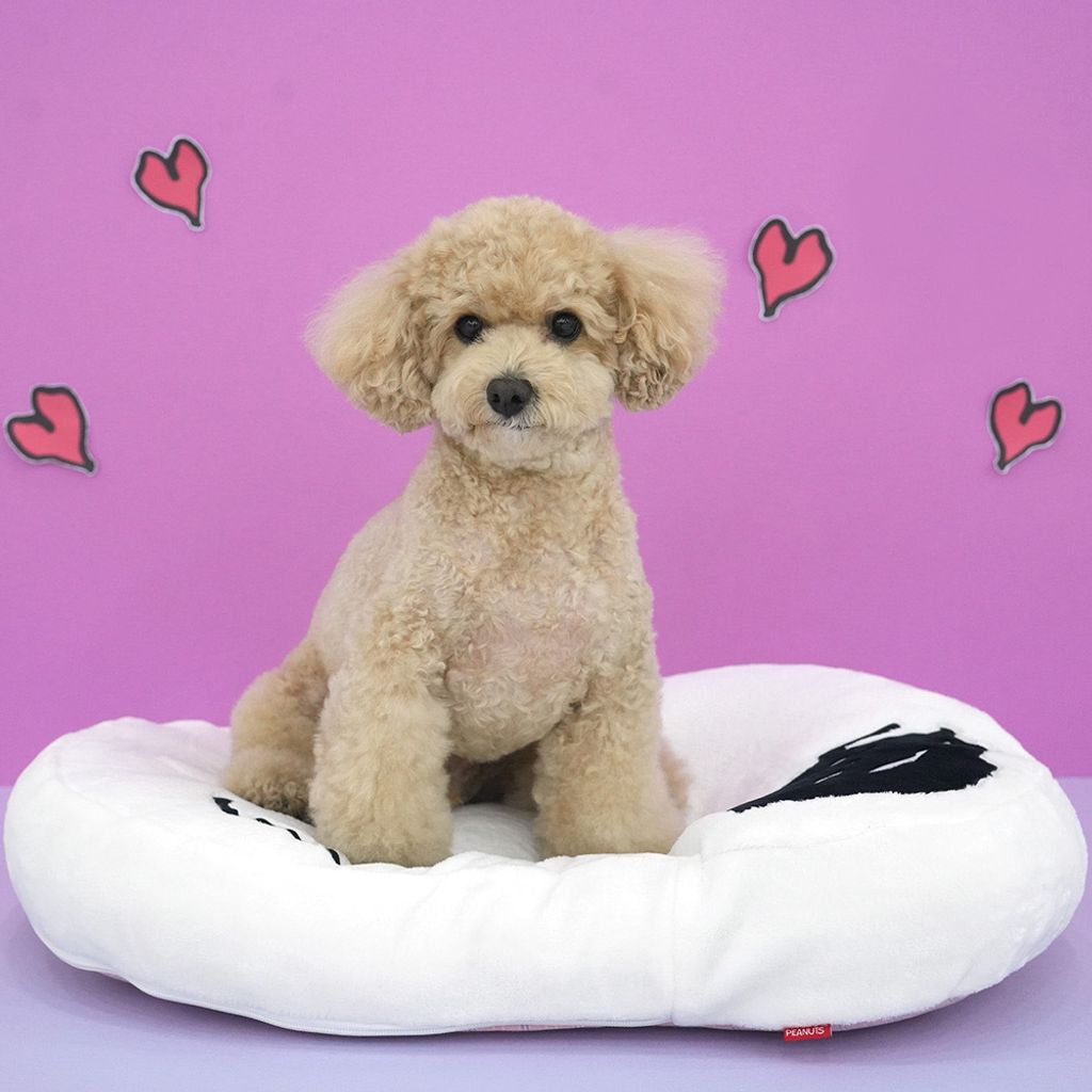 image_4DB476C0-5A36-40A8-A4AB-27D6CA62CD74_1765257431