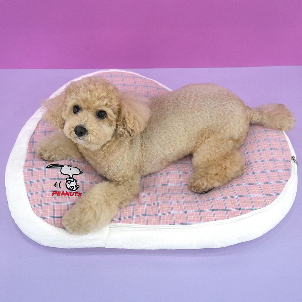 image_E829E242-694B-4BA5-966C-81CC04940DB6_1765257431