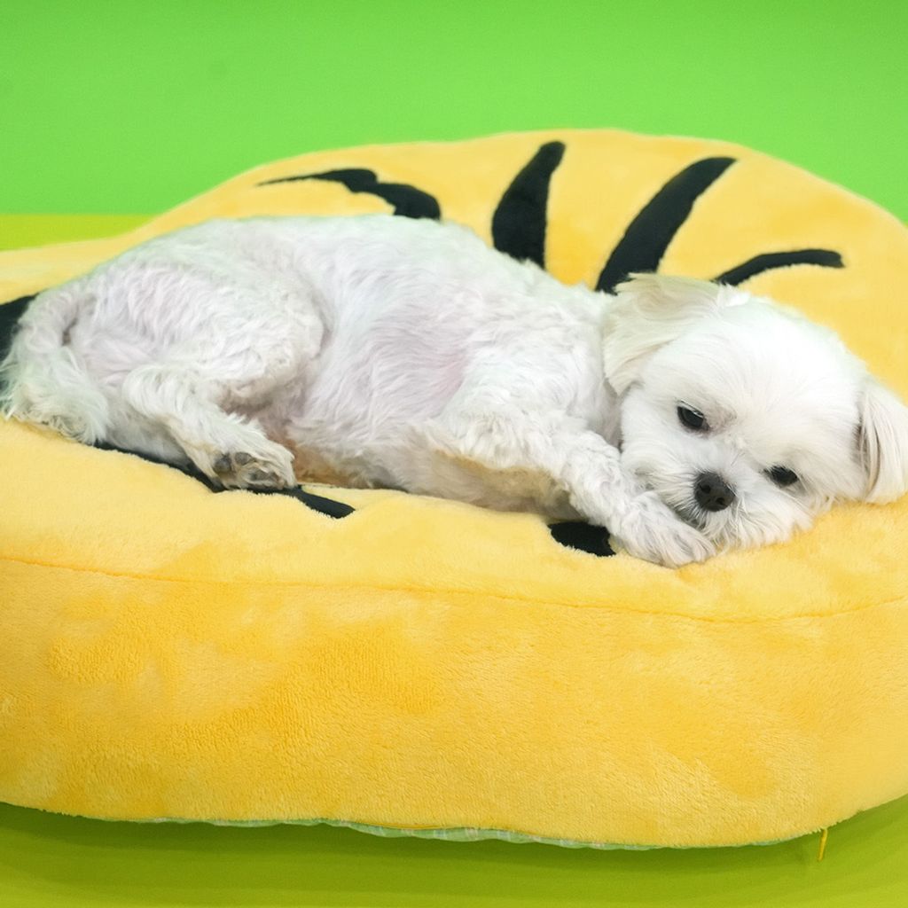 image_340ABDDB-3DF5-427A-B1CD-63541593F368_1765257431