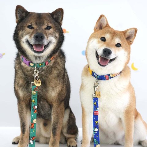 33.-PEANUTS-THEME-LEASH-首圖