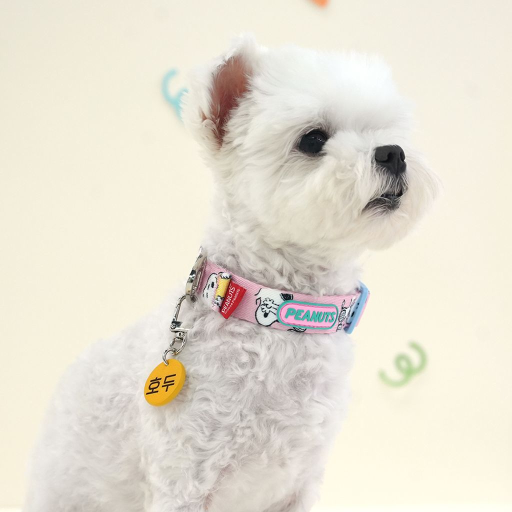 31.-PEANUTS-THEME-COLLAR-首圖