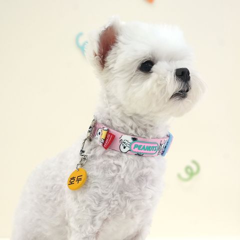 31.-PEANUTS-THEME-COLLAR-首圖