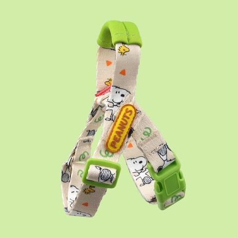 32.-PEANUTS-THEME-HARNESS-1