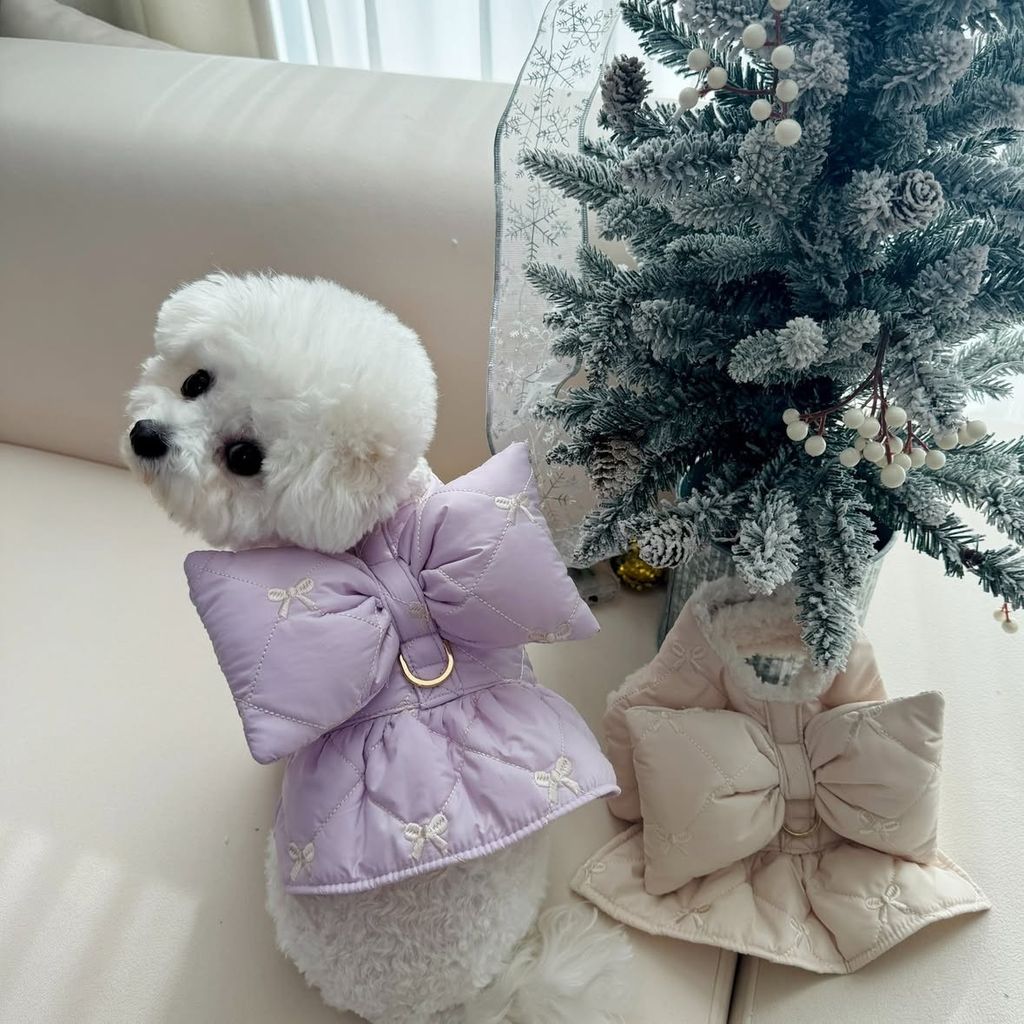 image_E948D5FE-494C-4995-A83F-9A7C518D4DA8_1766442292