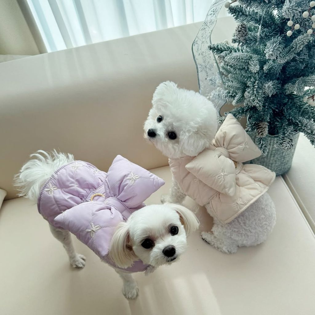 image_73131686-155B-47BE-A88C-C9D56C29DCAF_1766442292