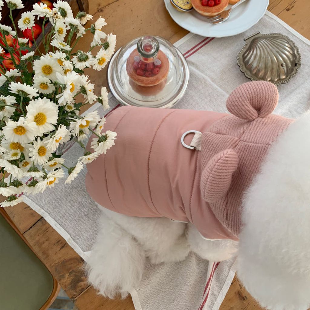 image_2A38D8A4-9D79-4A2E-B7B7-B5270121B379_1766443157