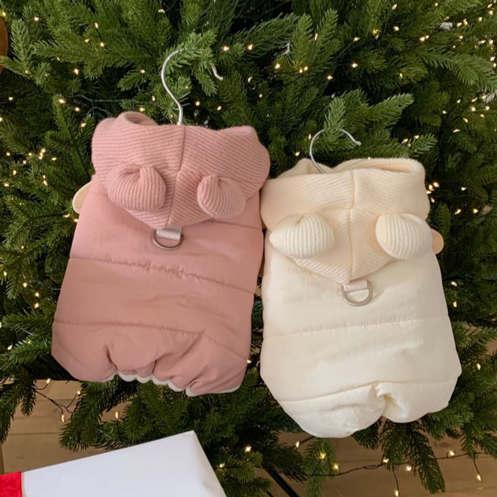 image_D823D40E-64C8-4FB9-9DA4-ABFB17BFCB21_1766443157