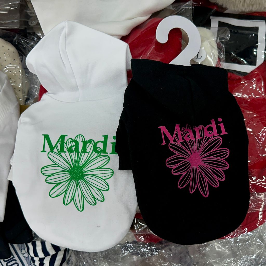 image_6190589C-F439-41A6-8CD3-FCE56D6E24E7_1766479819