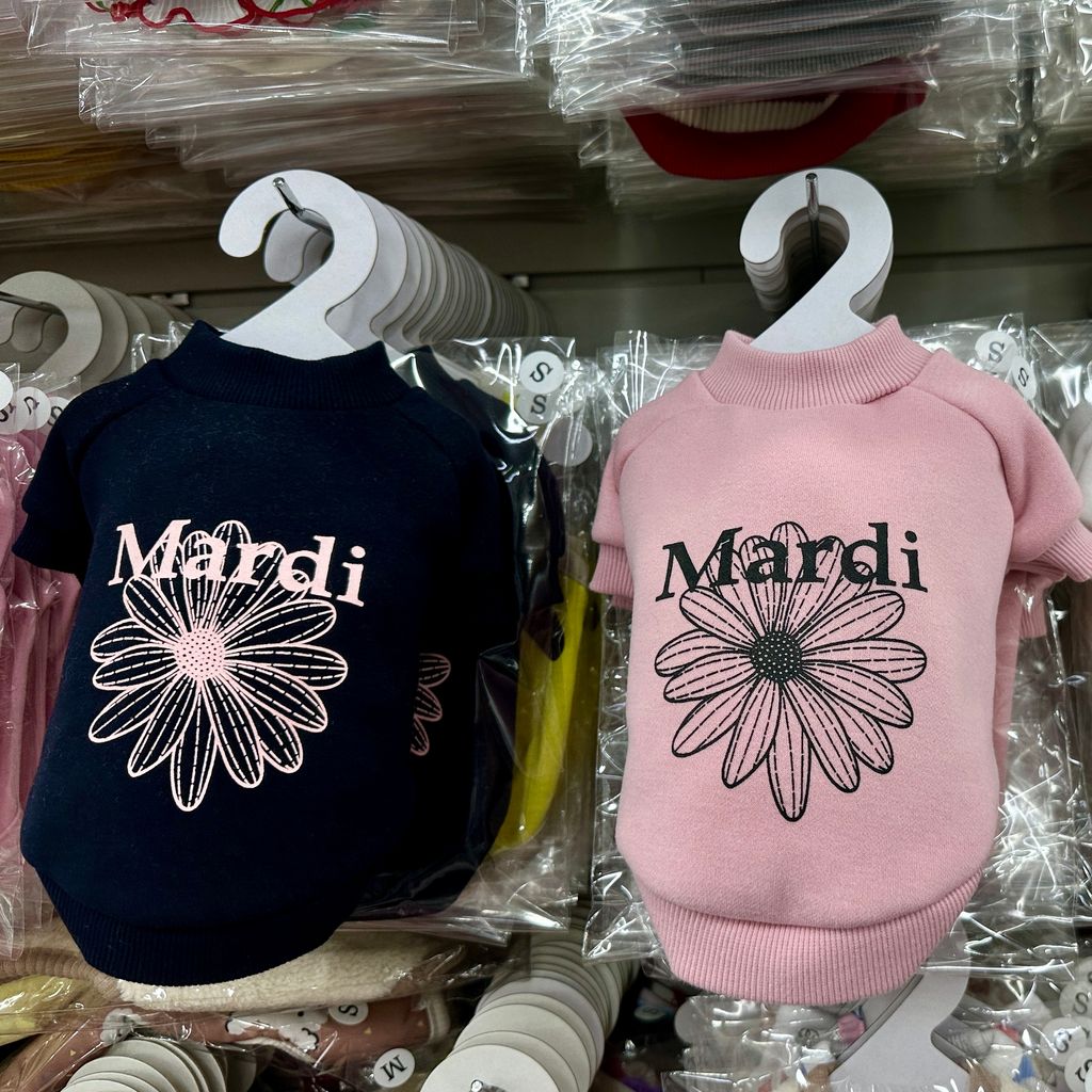 image_1A2DF1DA-89C2-47C0-8788-BF107F70B4A6_1766480326