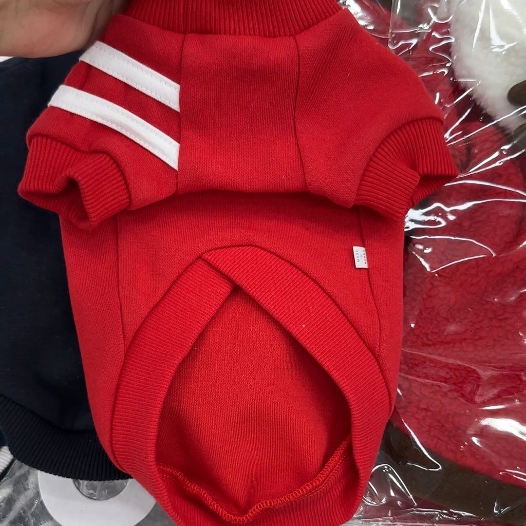 image_19230DAB-3456-4D32-85CE-420350FC9A8E_1766481896