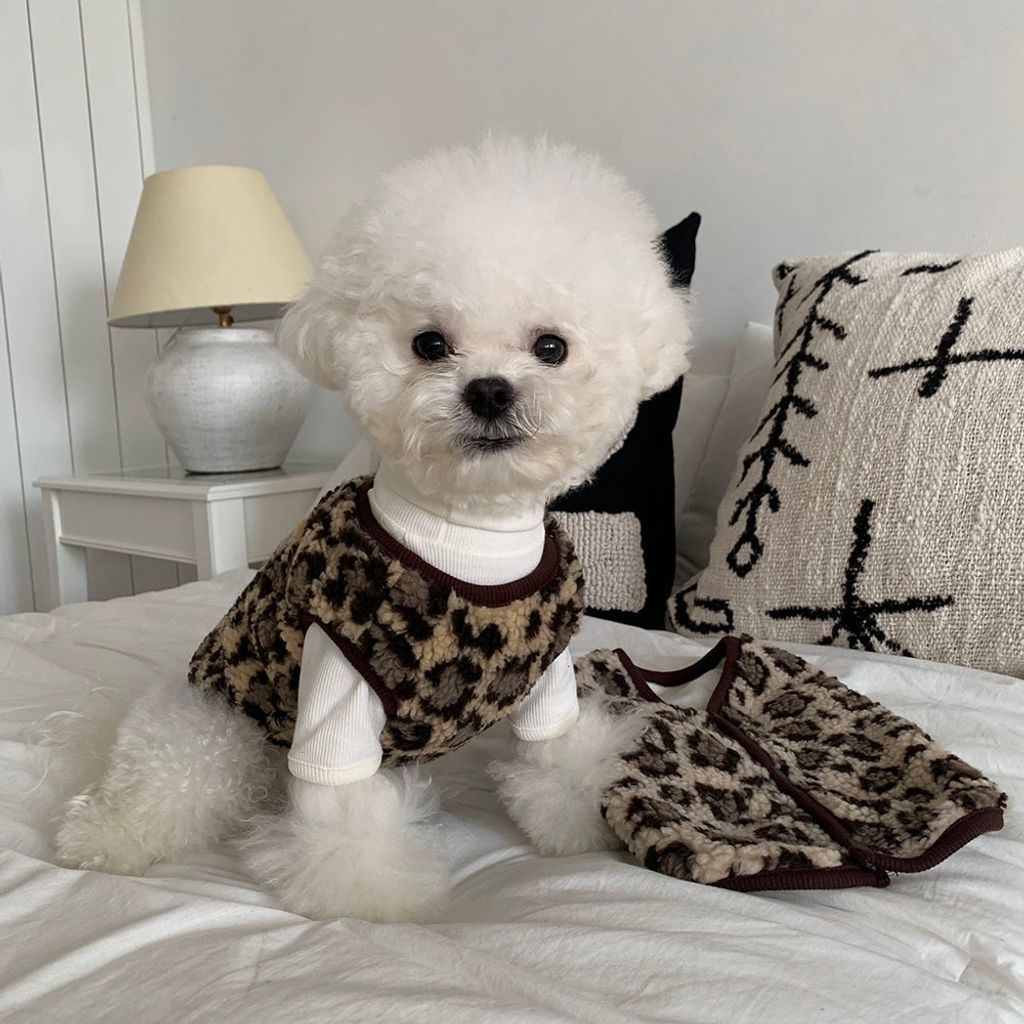 image_E4E68BD1-0EB6-4334-9973-E94464402FDF_1766485678