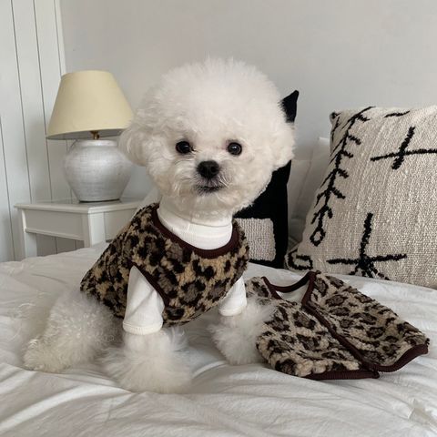 image_E4E68BD1-0EB6-4334-9973-E94464402FDF_1766485678